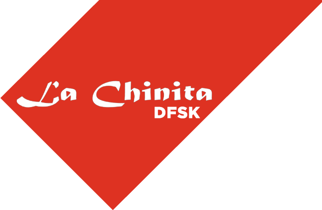 DFSK La Chinita - Logo